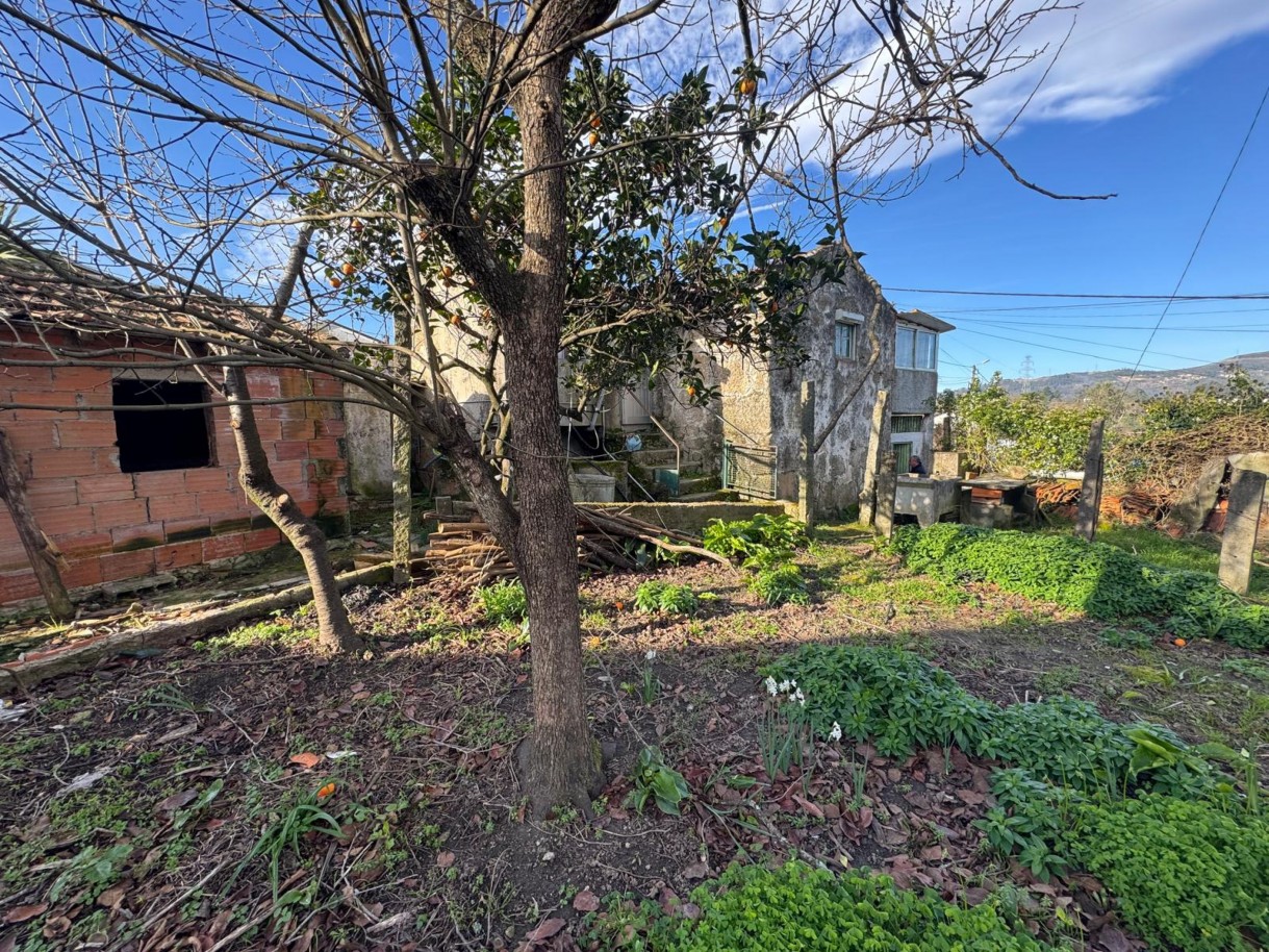 whatsapp-image-2026-01-14-at-105038-4jpeg