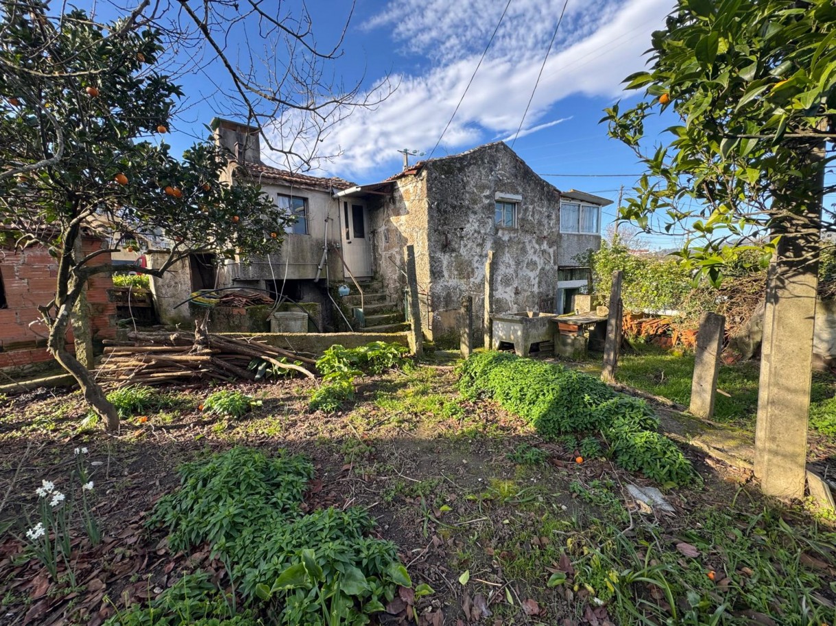 whatsapp-image-2026-01-14-at-105038-7jpeg