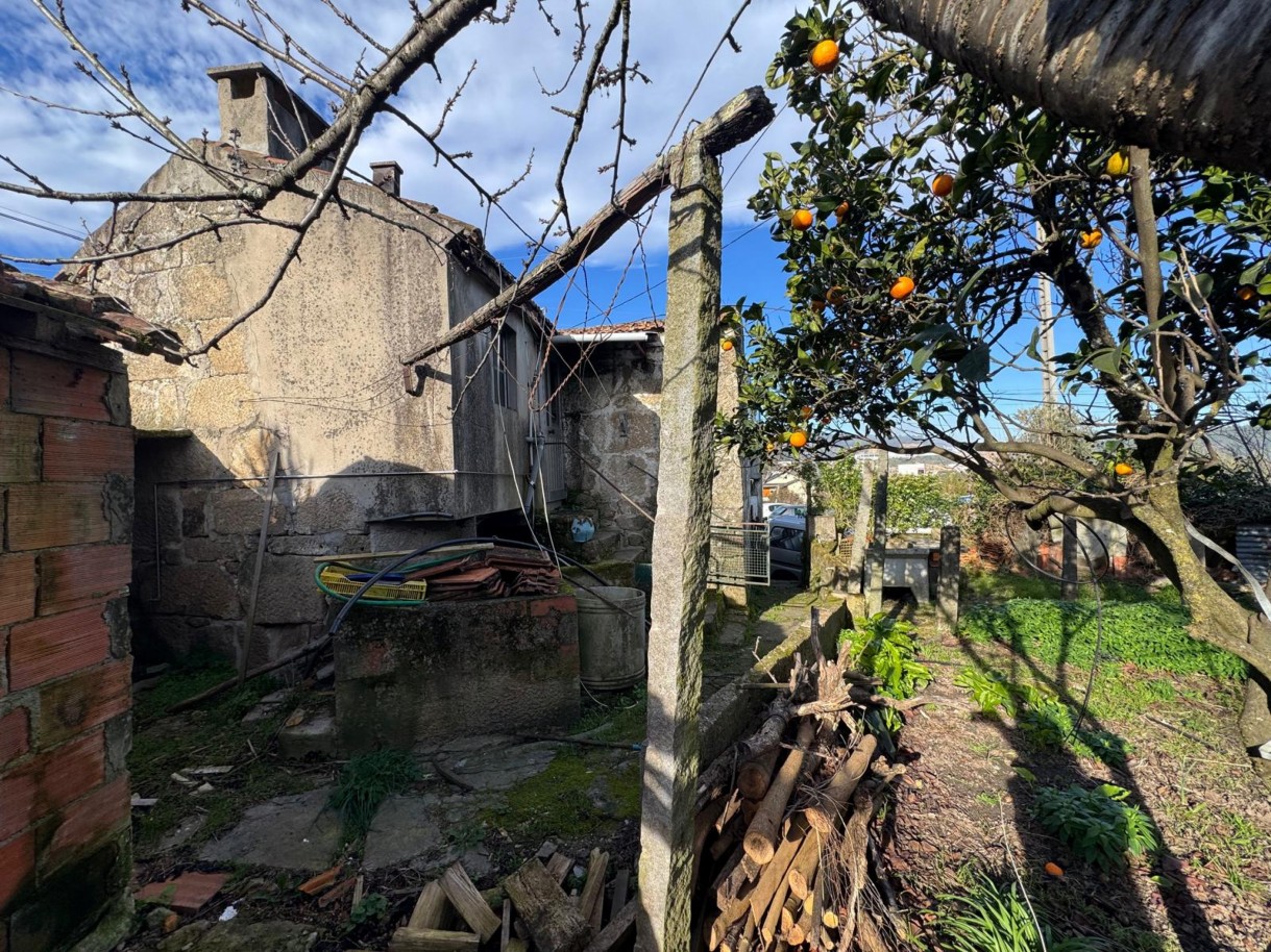 whatsapp-image-2026-01-14-at-105039-1jpeg