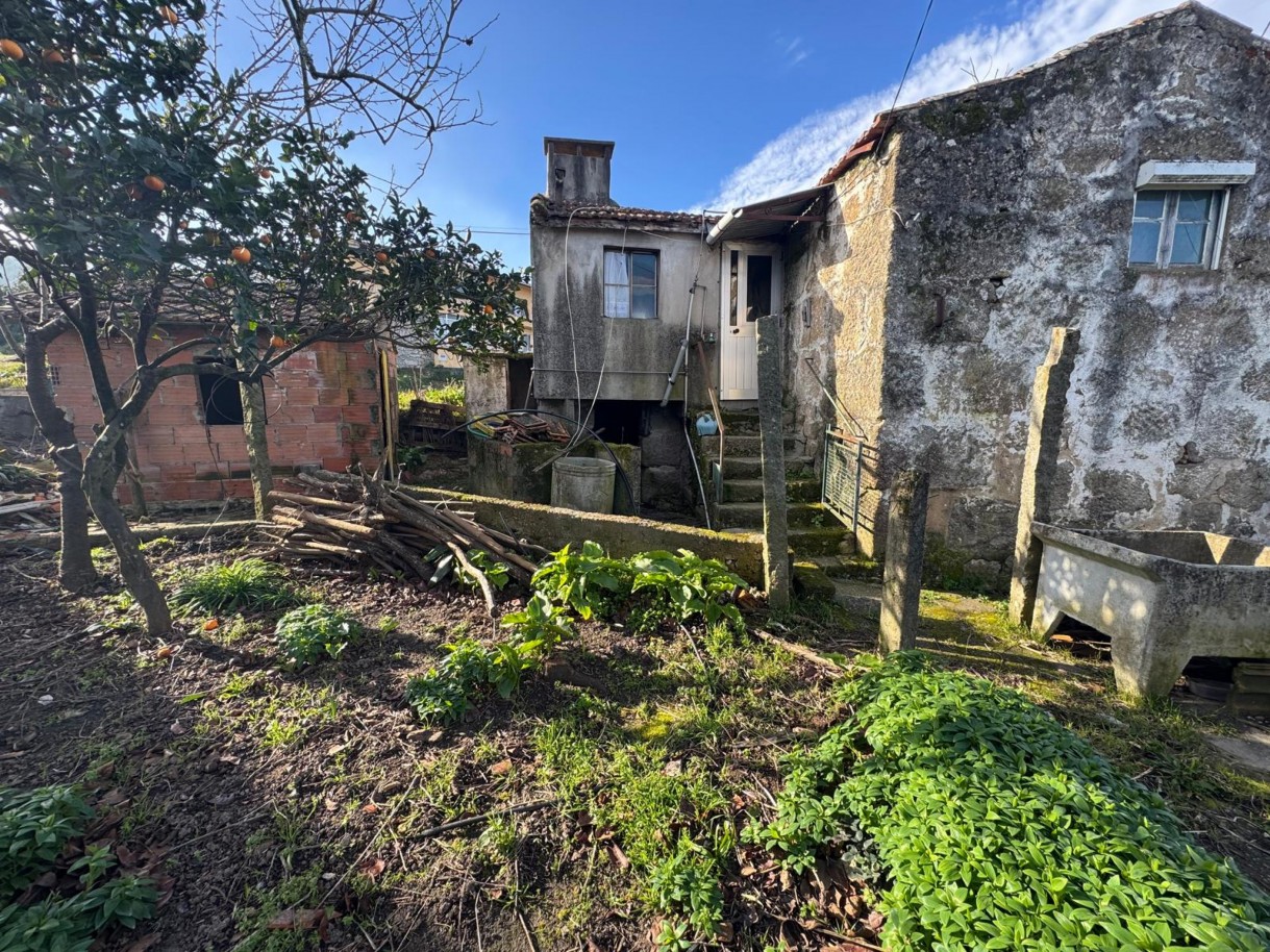 whatsapp-image-2026-01-14-at-105039jpeg