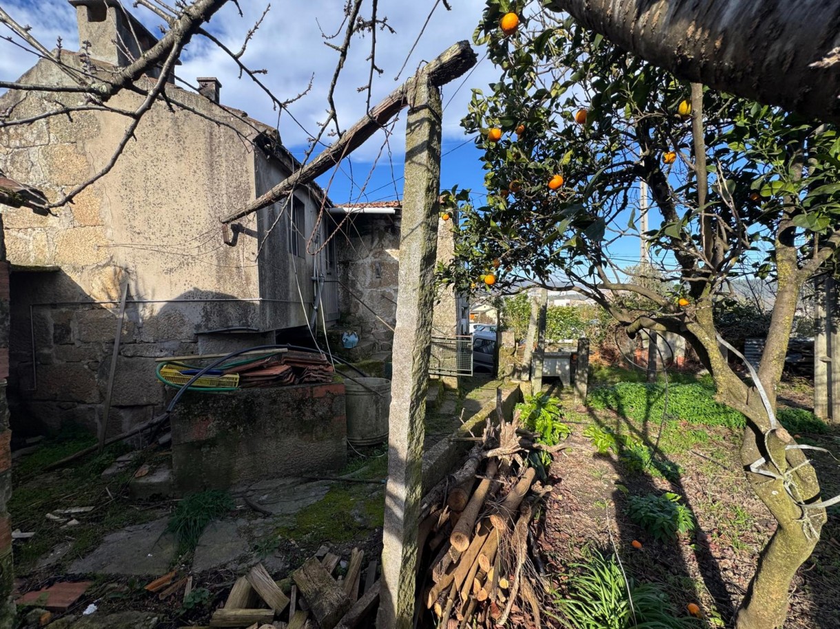 whatsapp-image-2026-01-14-at-105039-2jpeg