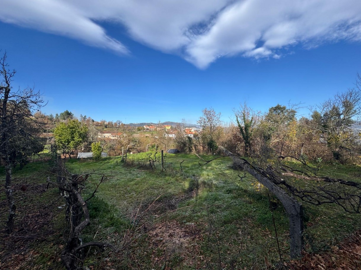 whatsapp-image-2026-01-14-at-112452-3jpeg