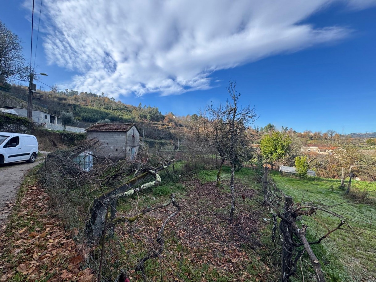 whatsapp-image-2026-01-14-at-112452-5jpeg