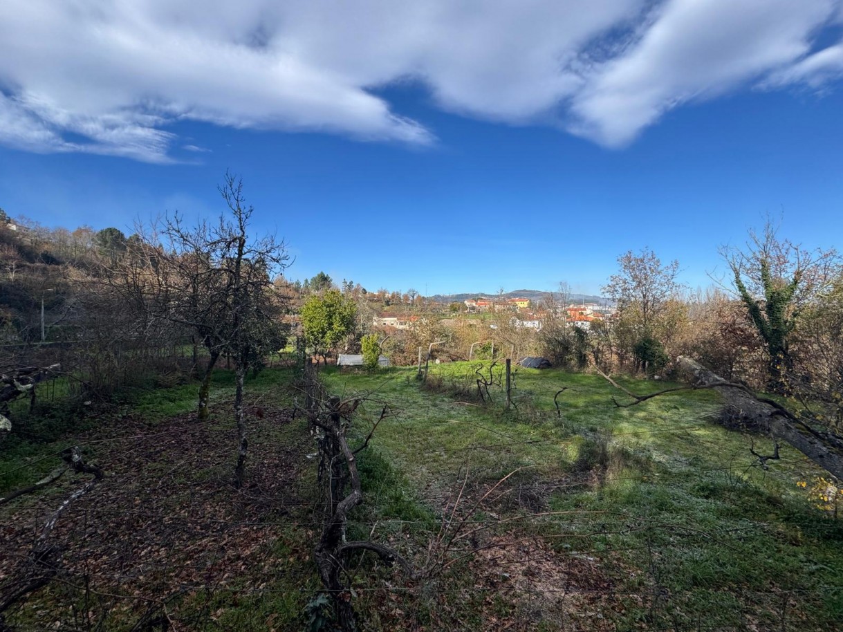 whatsapp-image-2026-01-14-at-112452-4jpeg