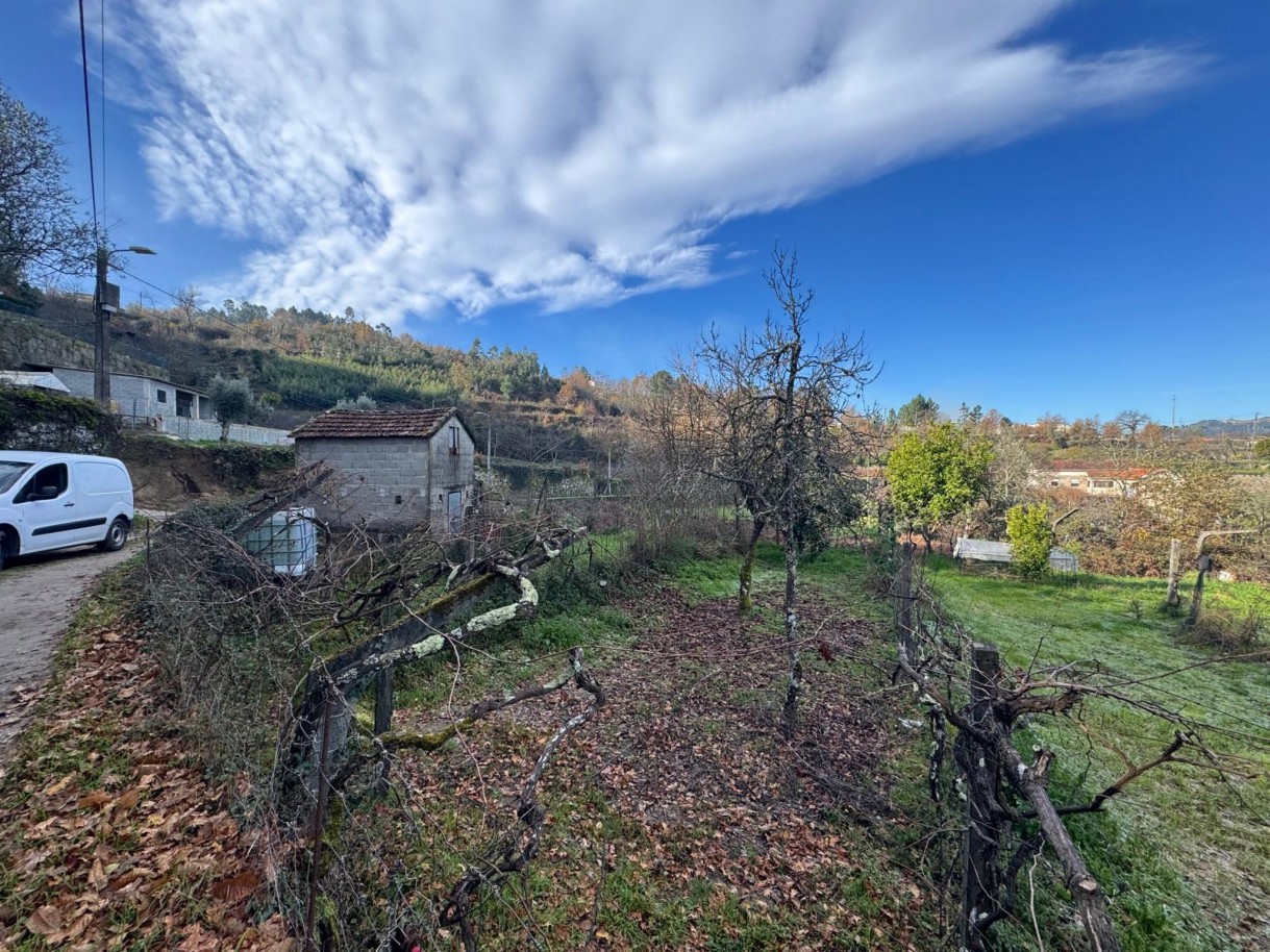 whatsapp-image-2026-01-14-at-112452-6jpeg