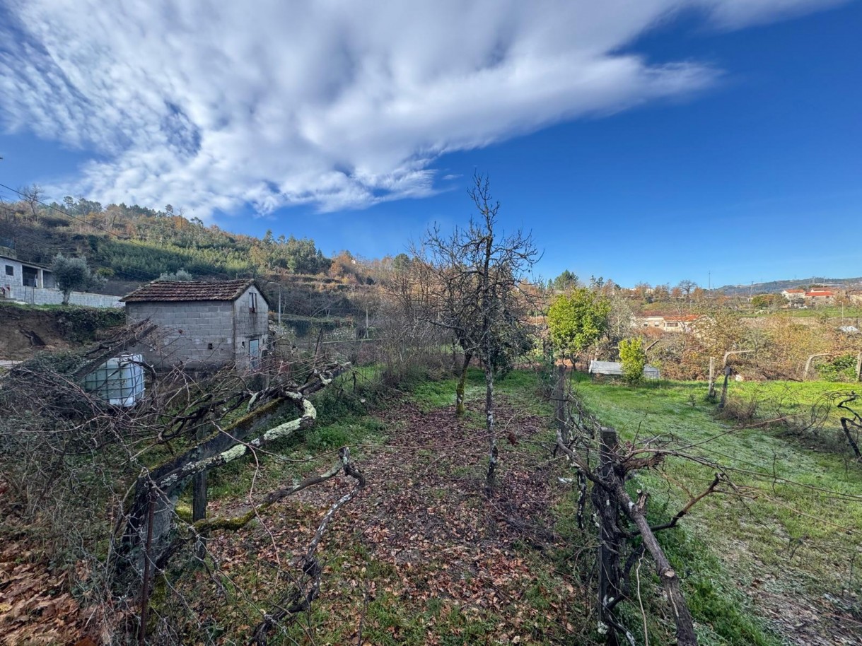 whatsapp-image-2026-01-14-at-112452-7jpeg