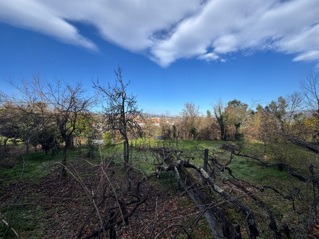 whatsapp-image-2026-01-14-at-112452jpeg