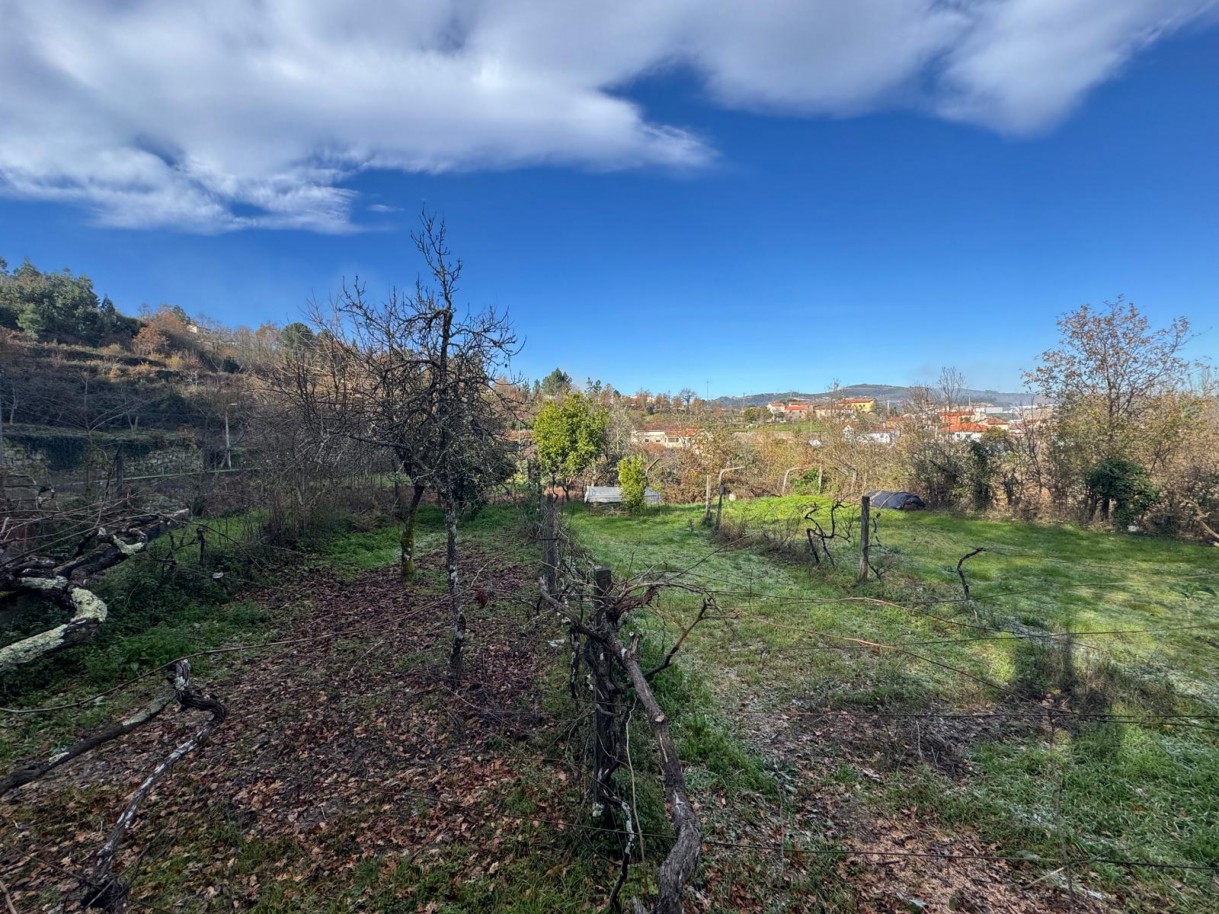 whatsapp-image-2026-01-14-at-112453-1jpeg