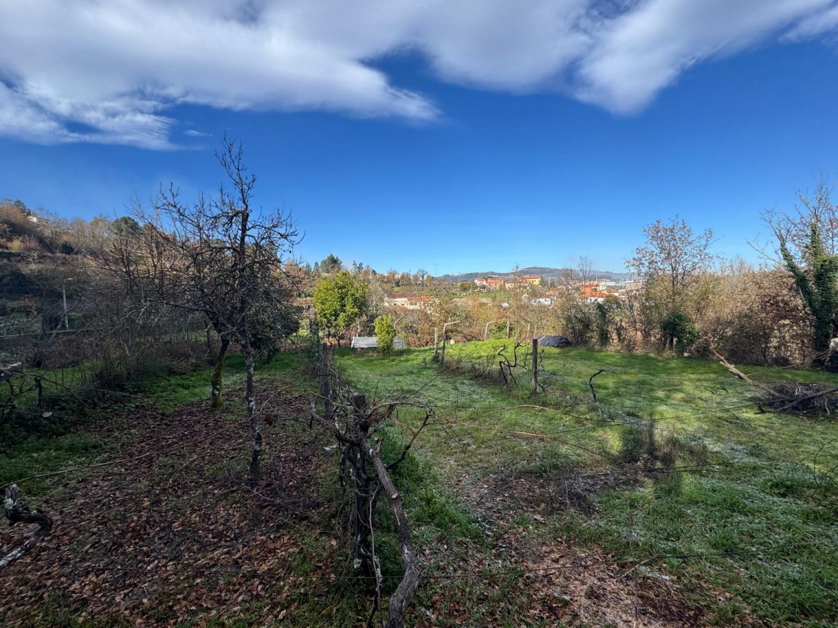 whatsapp-image-2026-01-14-at-112453-2jpeg