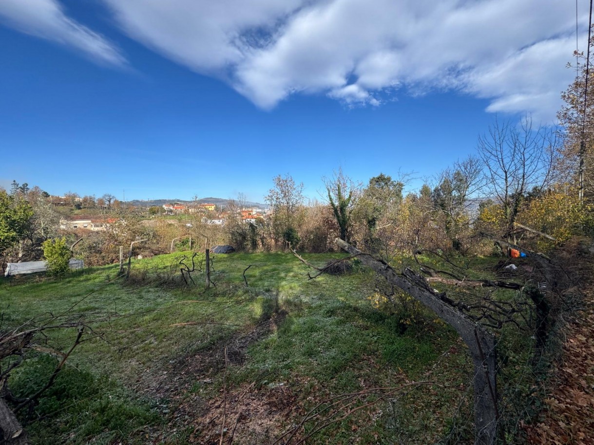 whatsapp-image-2026-01-14-at-112453-4jpeg