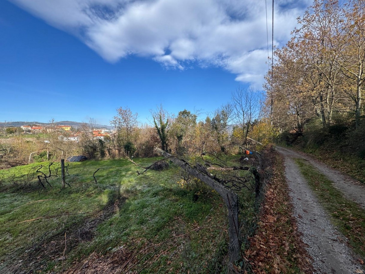 whatsapp-image-2026-01-14-at-112453-5jpeg