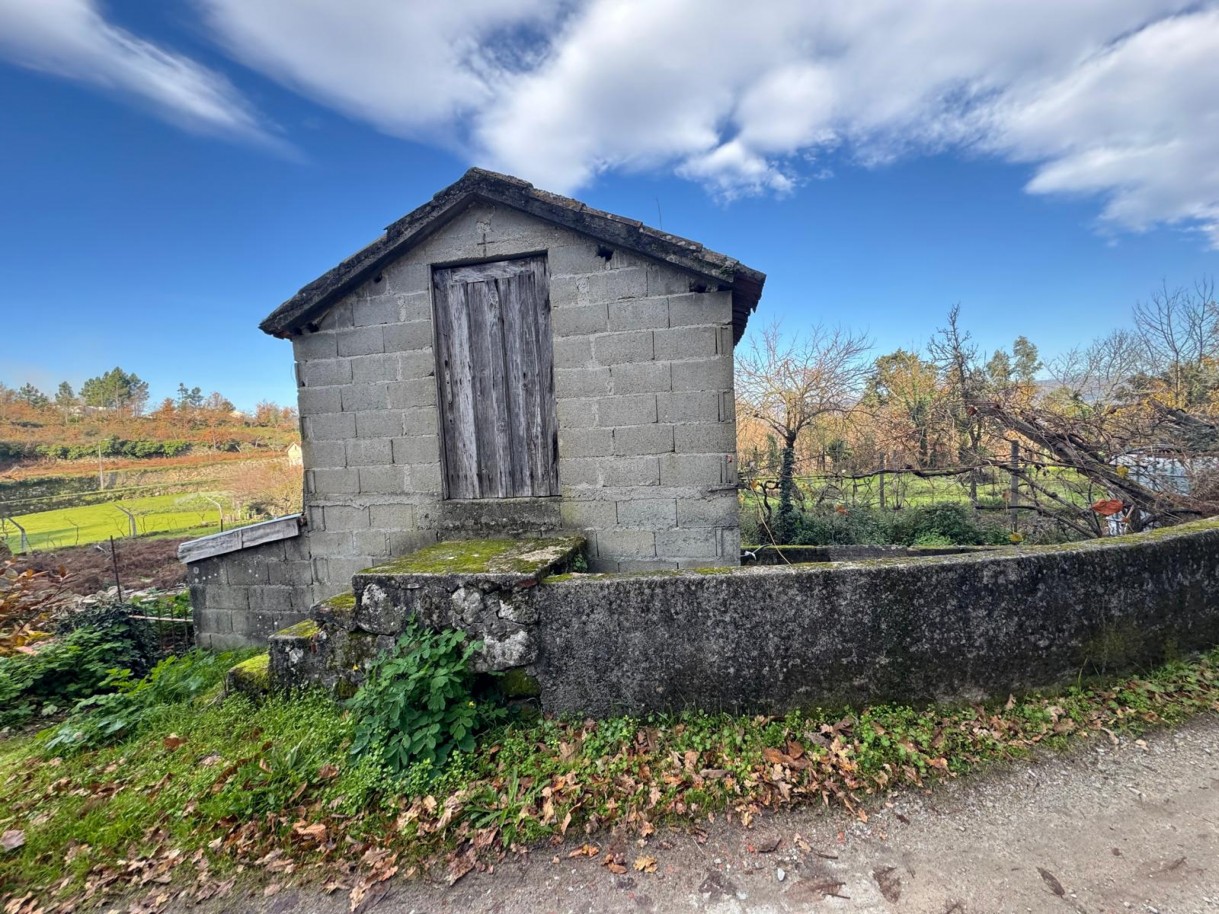 whatsapp-image-2026-01-14-at-112453-6jpeg