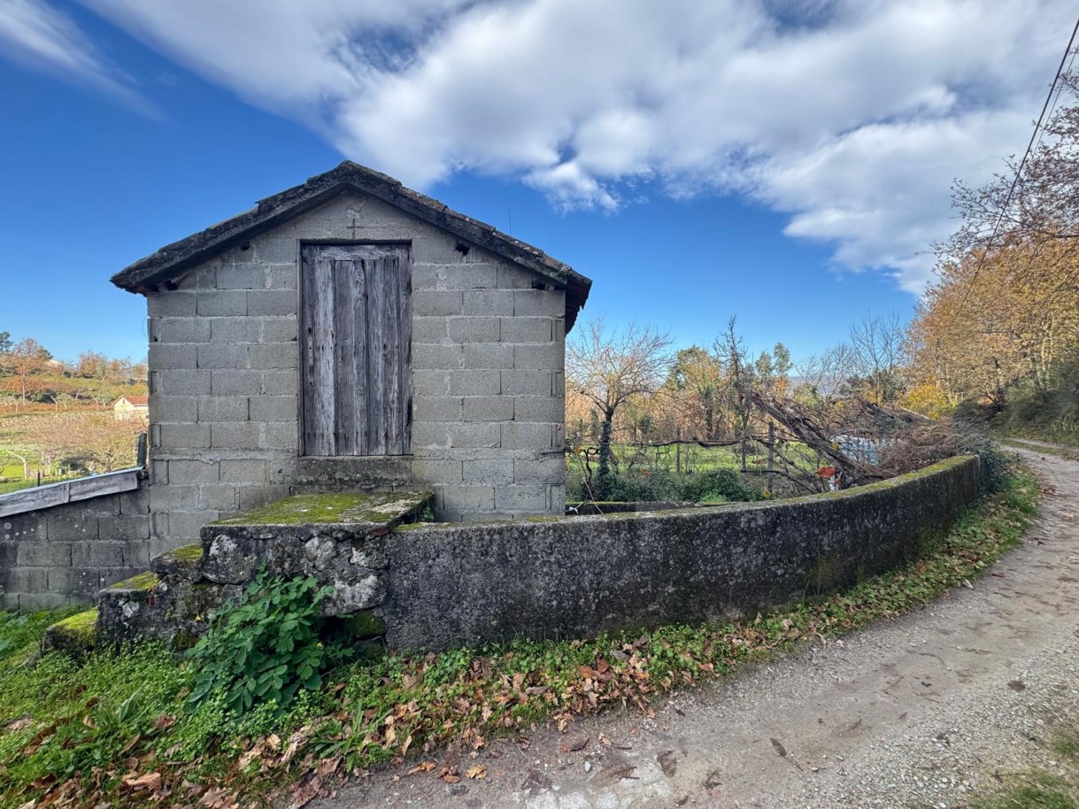 whatsapp-image-2026-01-14-at-112453-7jpeg