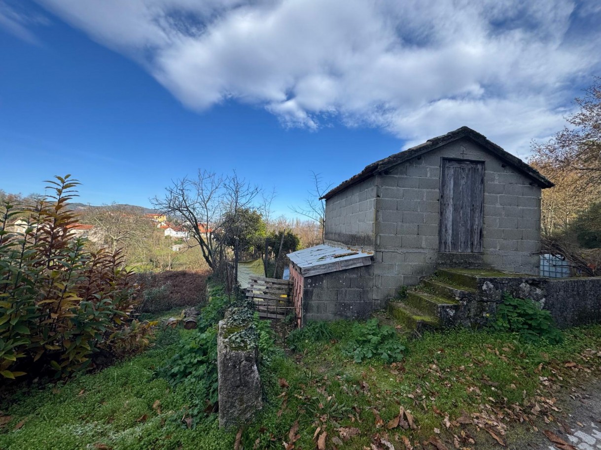 whatsapp-image-2026-01-14-at-112454-2jpeg