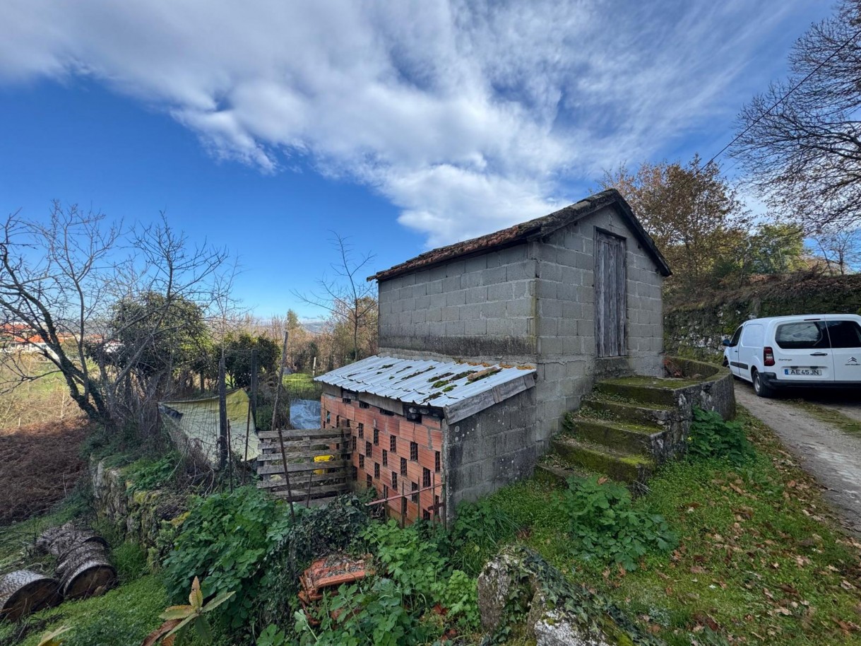 whatsapp-image-2026-01-14-at-112454-4jpeg