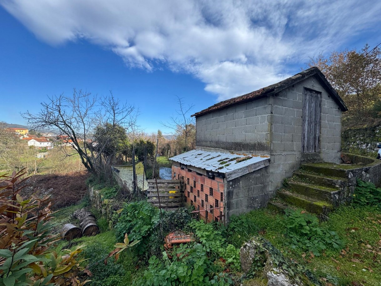 whatsapp-image-2026-01-14-at-112454-5jpeg