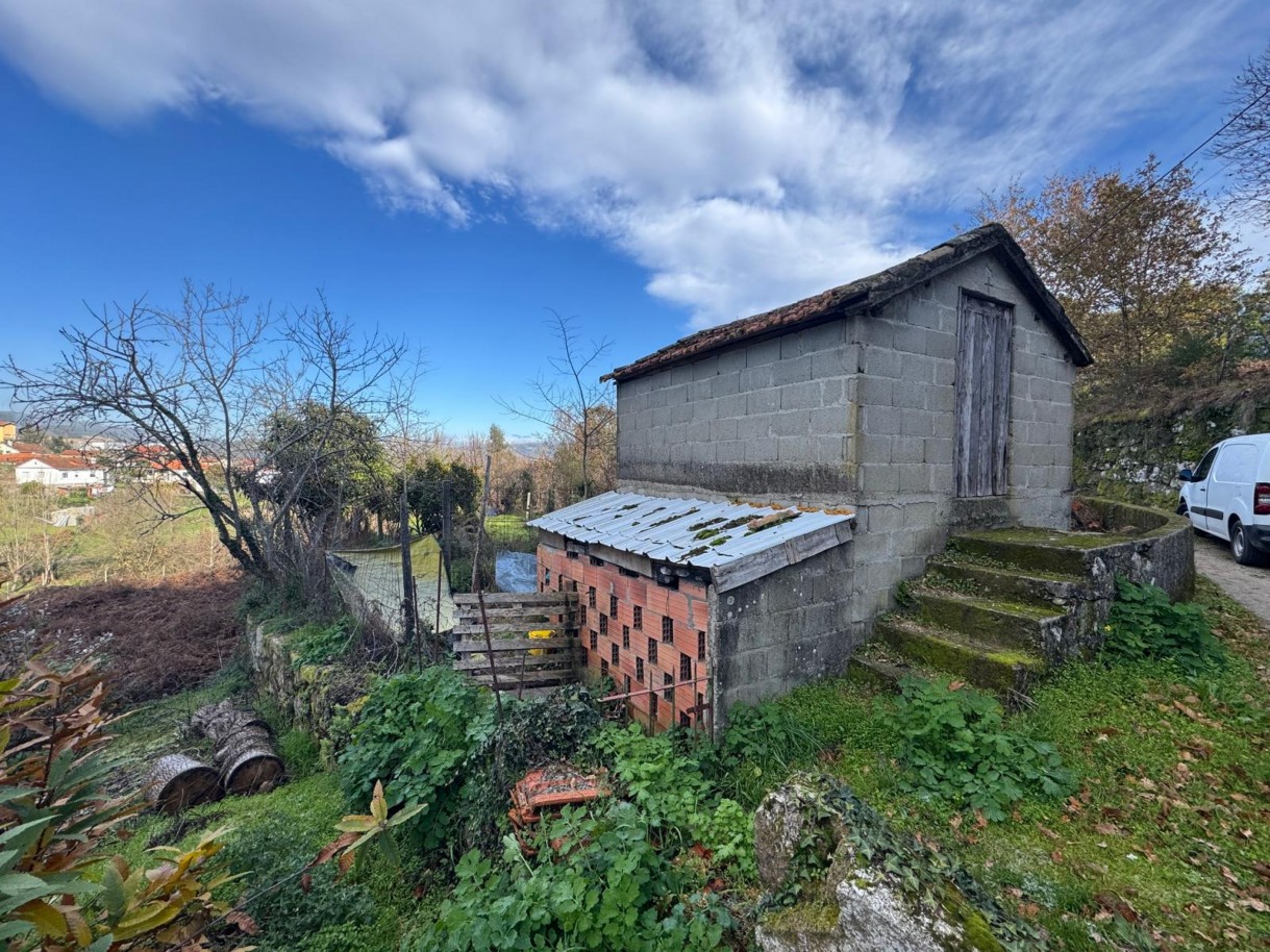 whatsapp-image-2026-01-14-at-112454-3jpeg