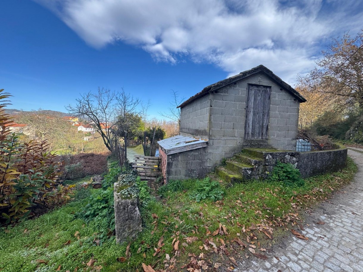 whatsapp-image-2026-01-14-at-112454jpeg