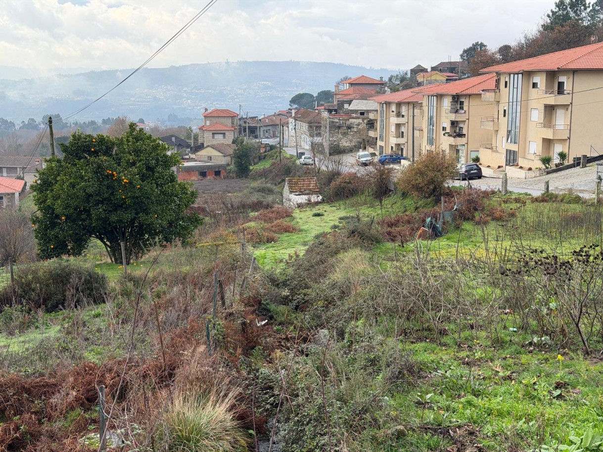 whatsapp-image-2026-01-14-at-150736-1jpeg