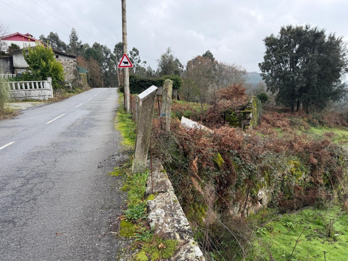 whatsapp-image-2026-01-14-at-150736-2jpeg