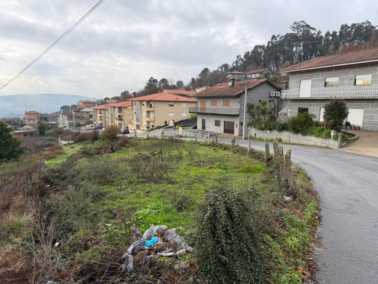 whatsapp-image-2026-01-14-at-150736-3jpeg