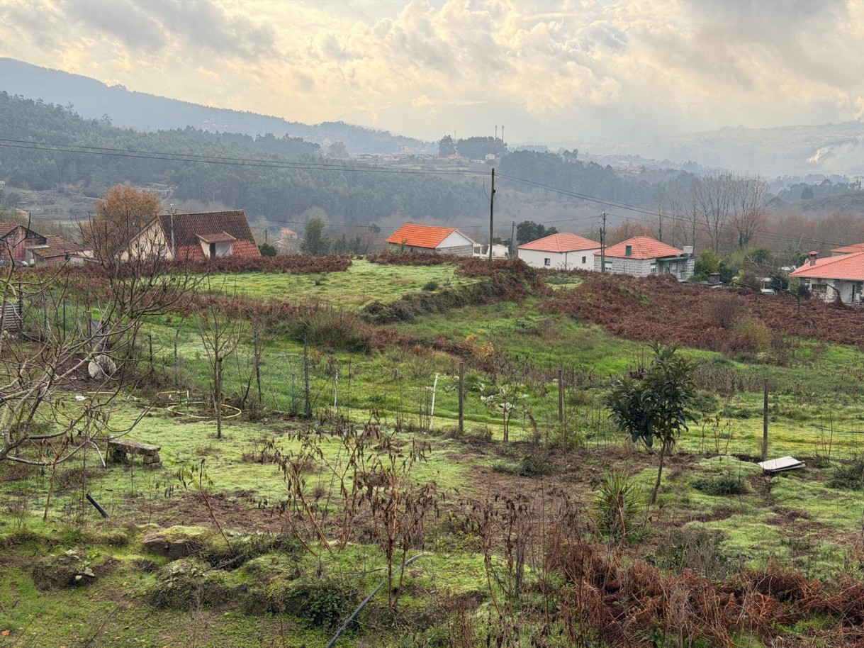 whatsapp-image-2026-01-14-at-150736-7jpeg