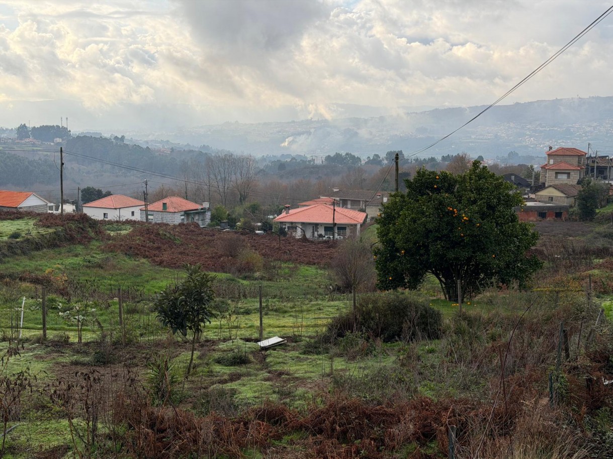 whatsapp-image-2026-01-14-at-150736-6jpeg