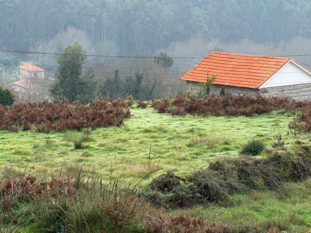 whatsapp-image-2026-01-14-at-150736-9jpeg