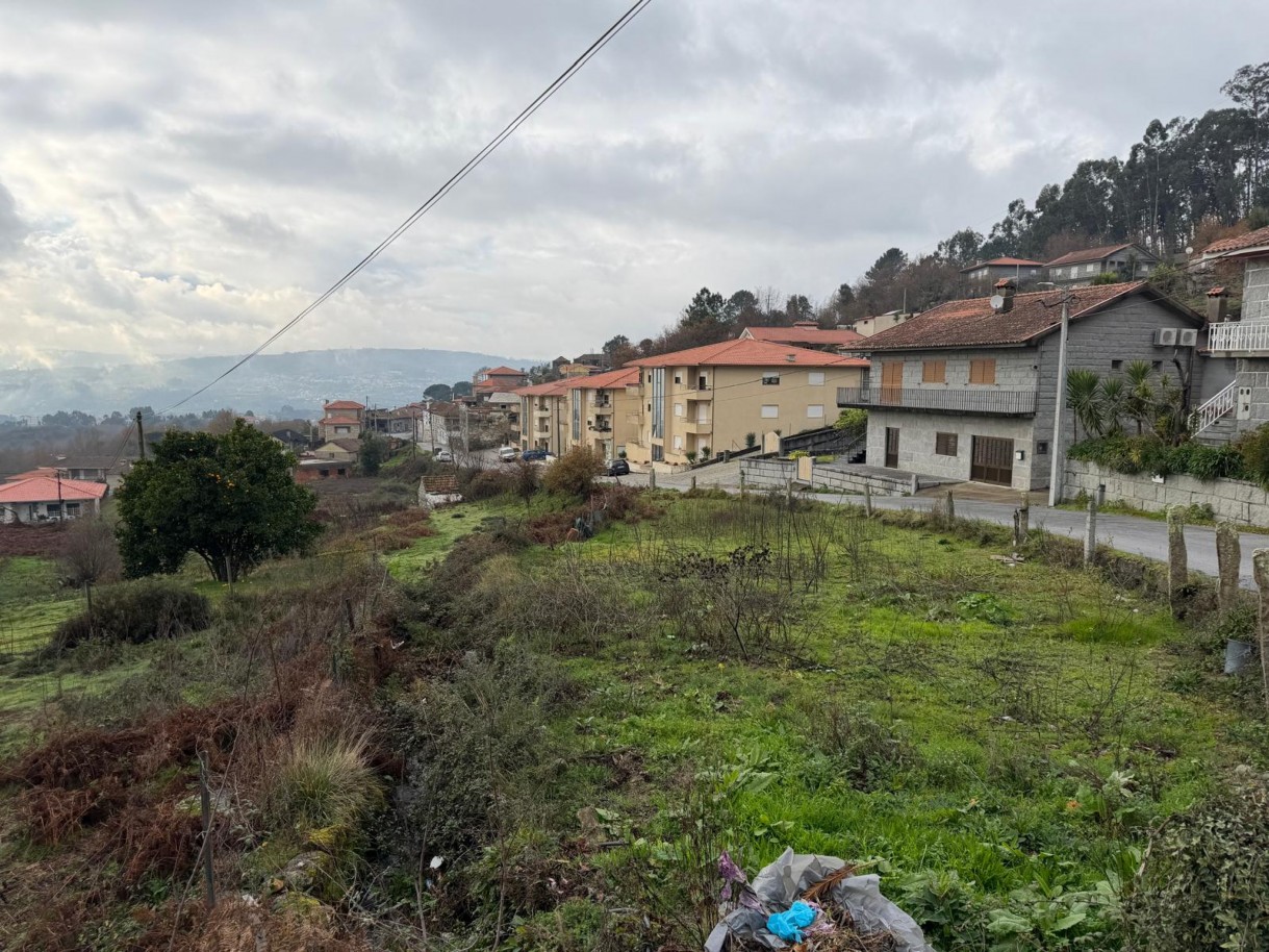 whatsapp-image-2026-01-14-at-150736-11jpeg