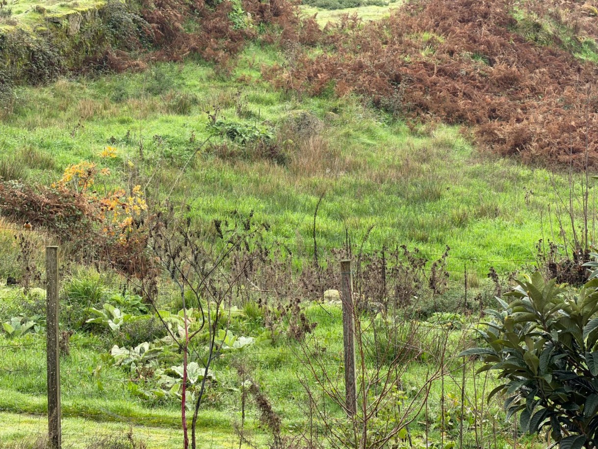 whatsapp-image-2026-01-14-at-150736-10jpeg