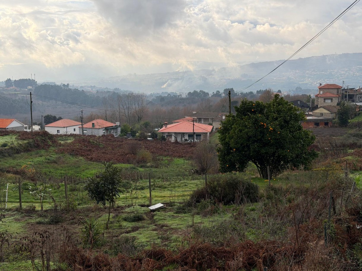 whatsapp-image-2026-01-14-at-150737-1jpeg