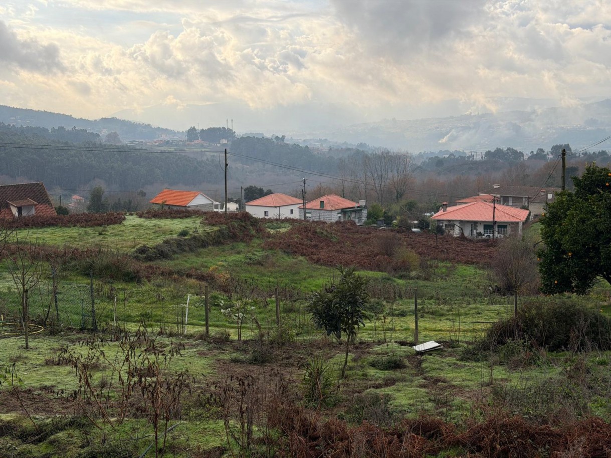 whatsapp-image-2026-01-14-at-150737-2jpeg