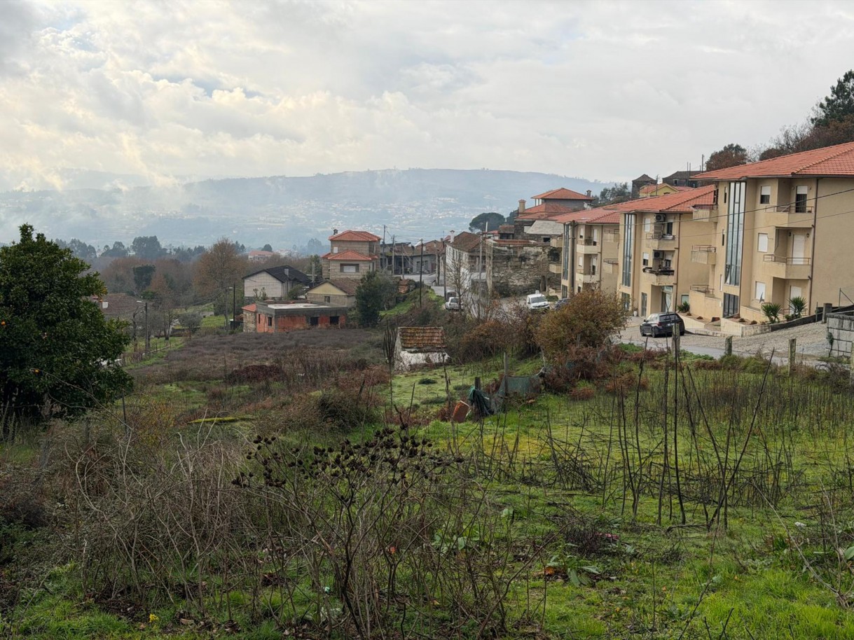 whatsapp-image-2026-01-14-at-150737-3jpeg