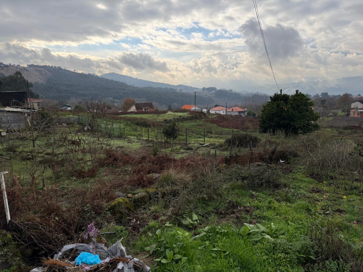 whatsapp-image-2026-01-14-at-150737-4jpeg