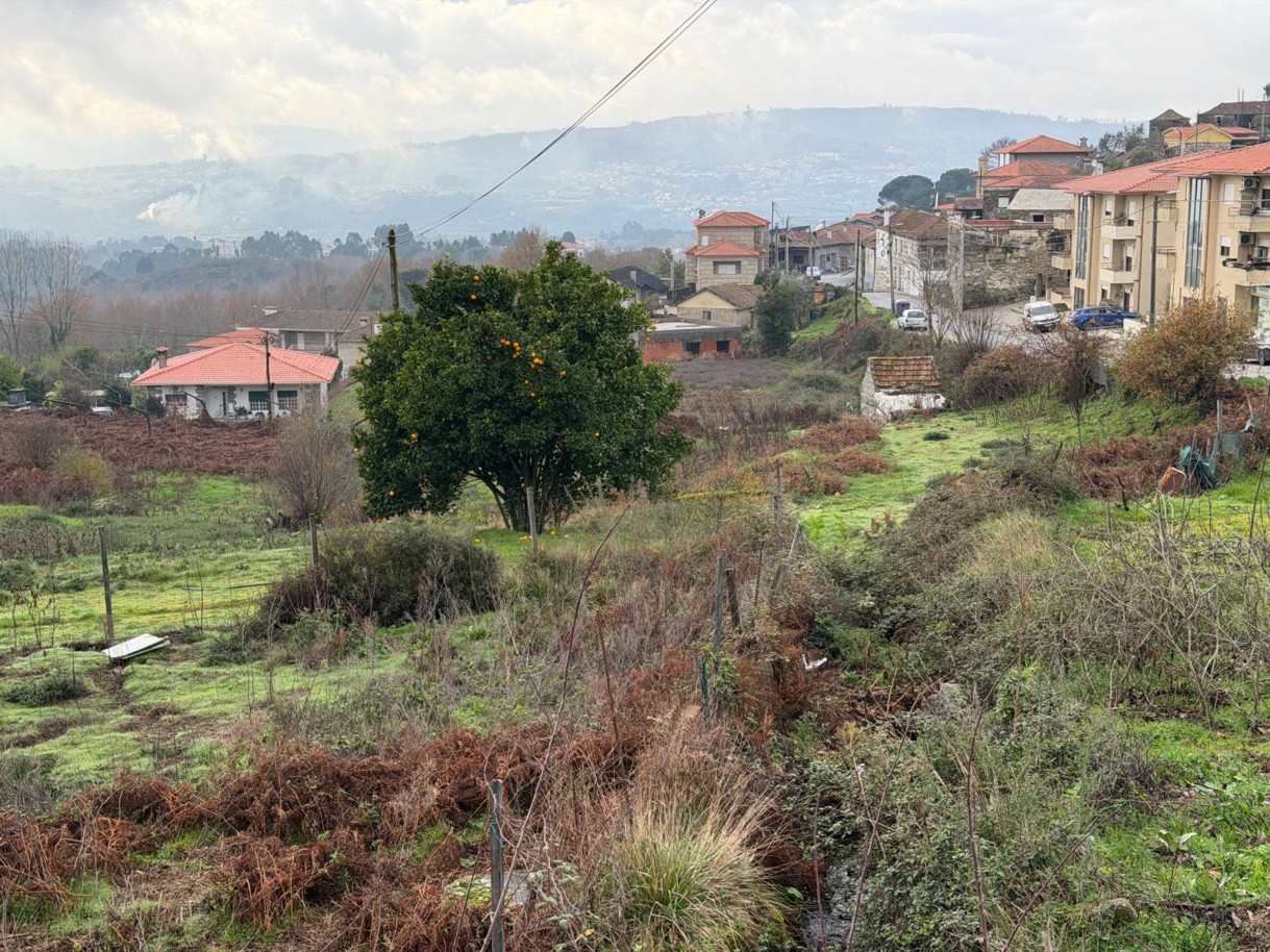 whatsapp-image-2026-01-14-at-150736jpeg