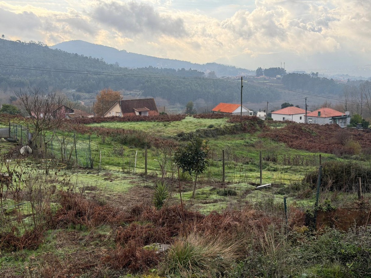 whatsapp-image-2026-01-14-at-150737-5jpeg