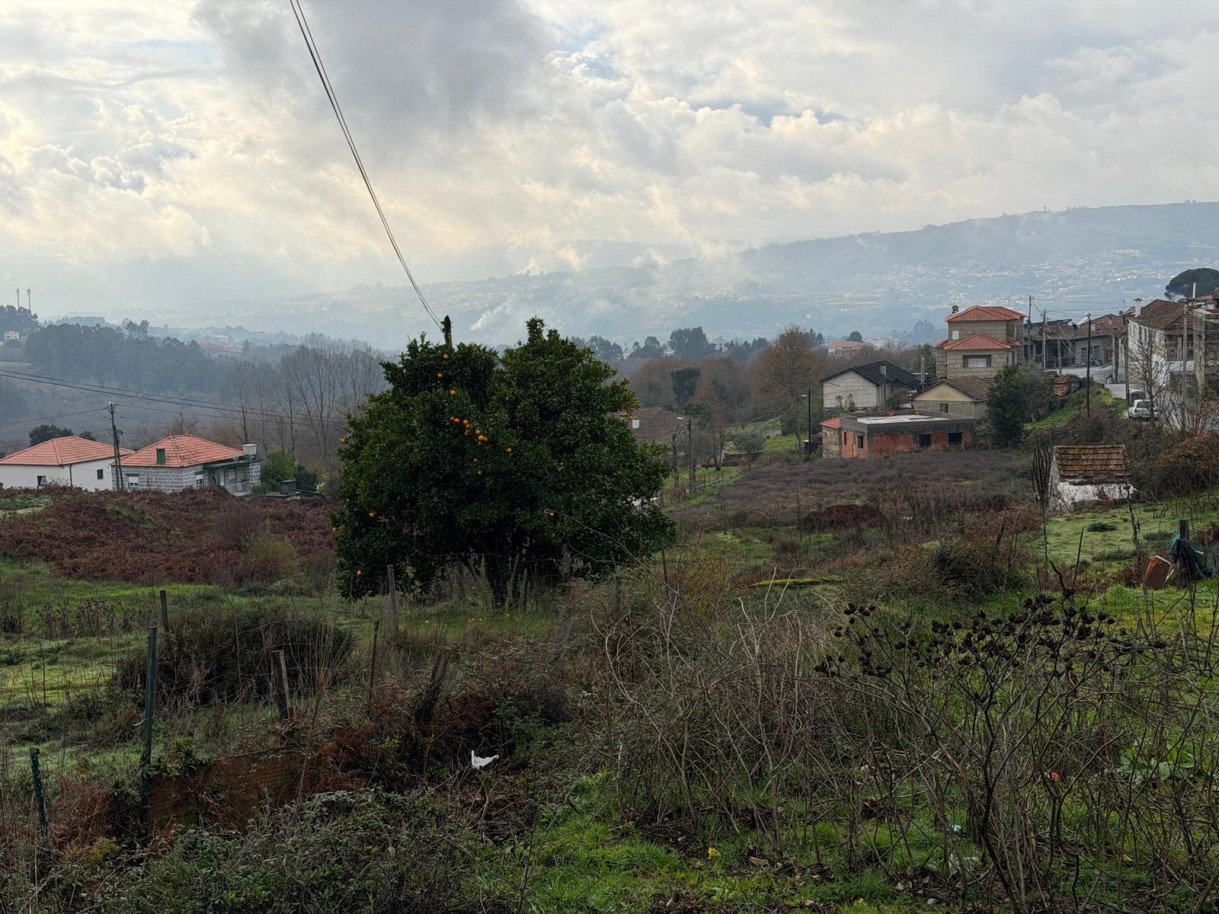 whatsapp-image-2026-01-14-at-150737-6jpeg