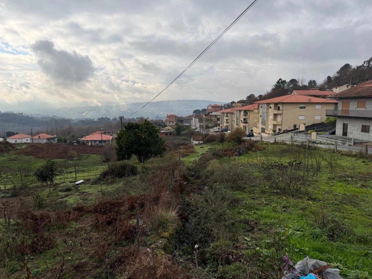 whatsapp-image-2026-01-14-at-150737jpeg