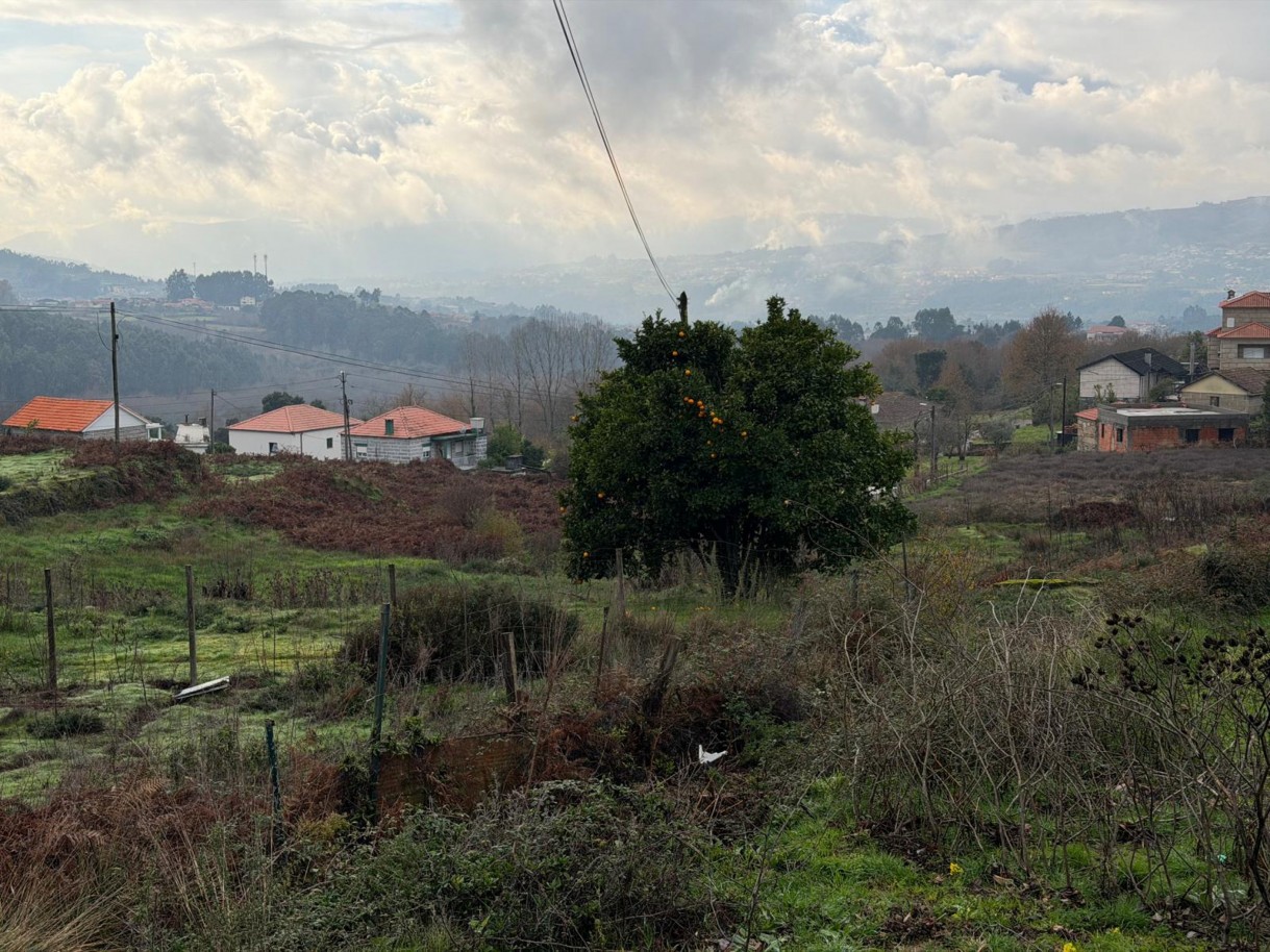 whatsapp-image-2026-01-14-at-150737-7jpeg