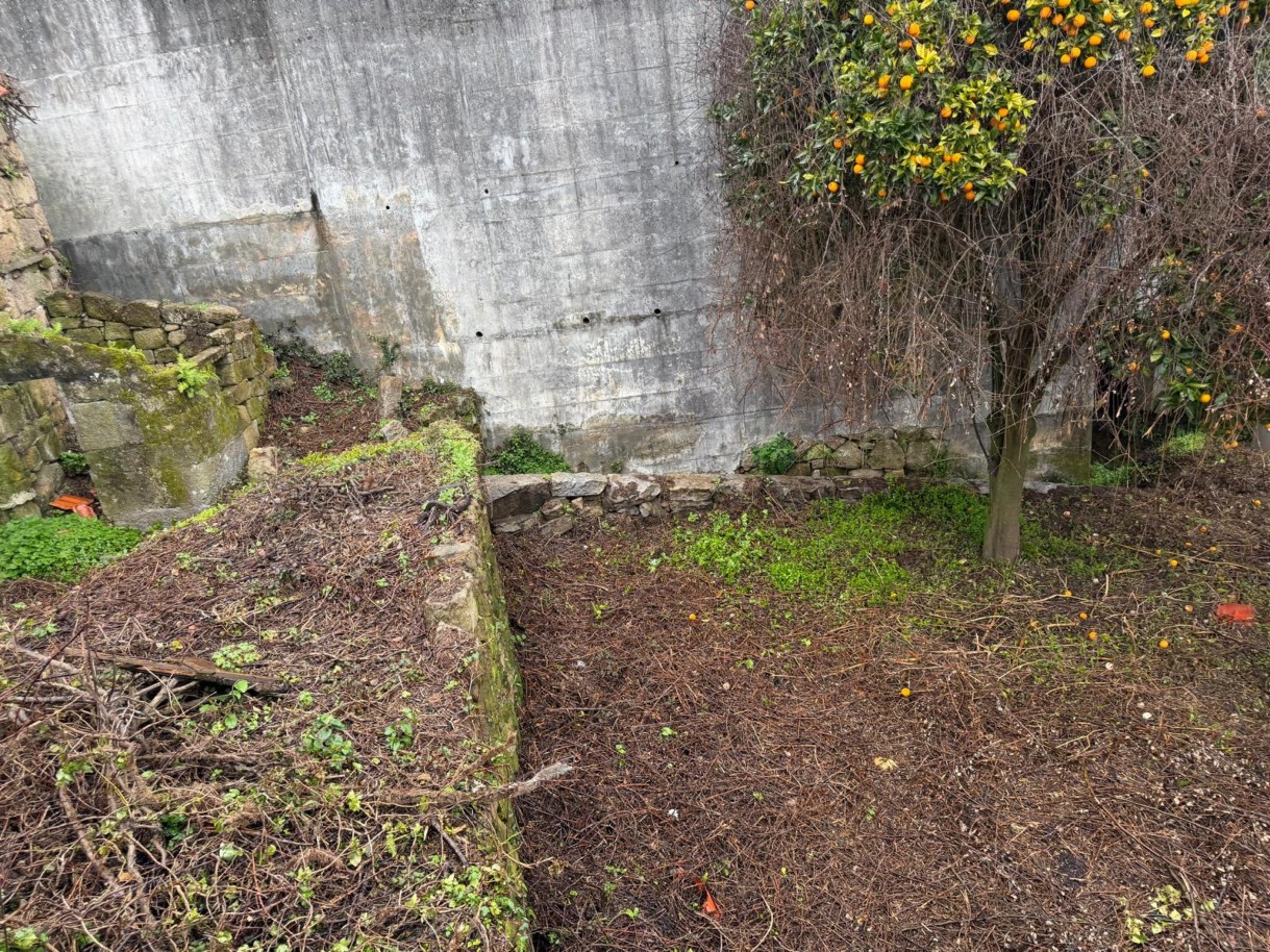 whatsapp-image-2026-01-20-at-163859jpeg