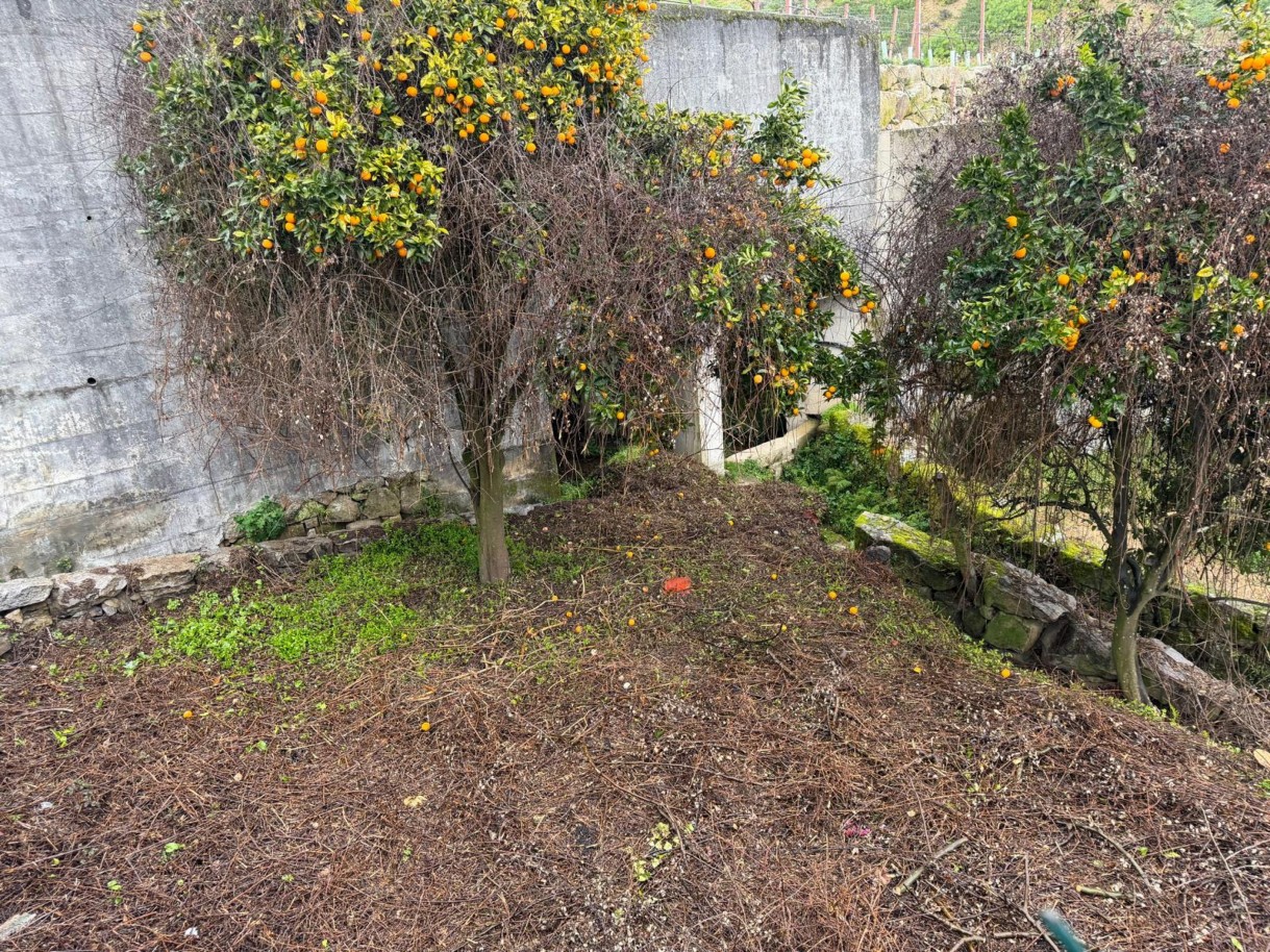 whatsapp-image-2026-01-20-at-163900jpeg