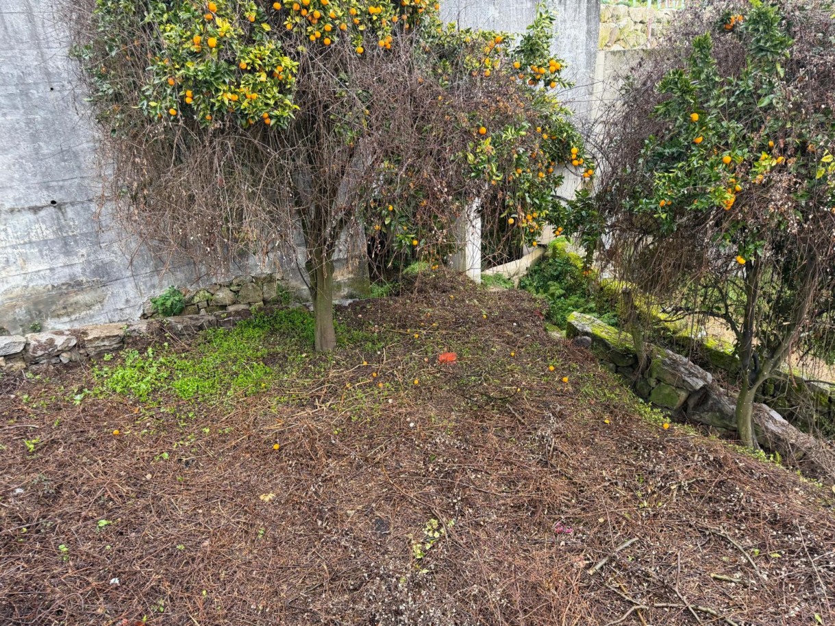 whatsapp-image-2026-01-20-at-1639012jpeg