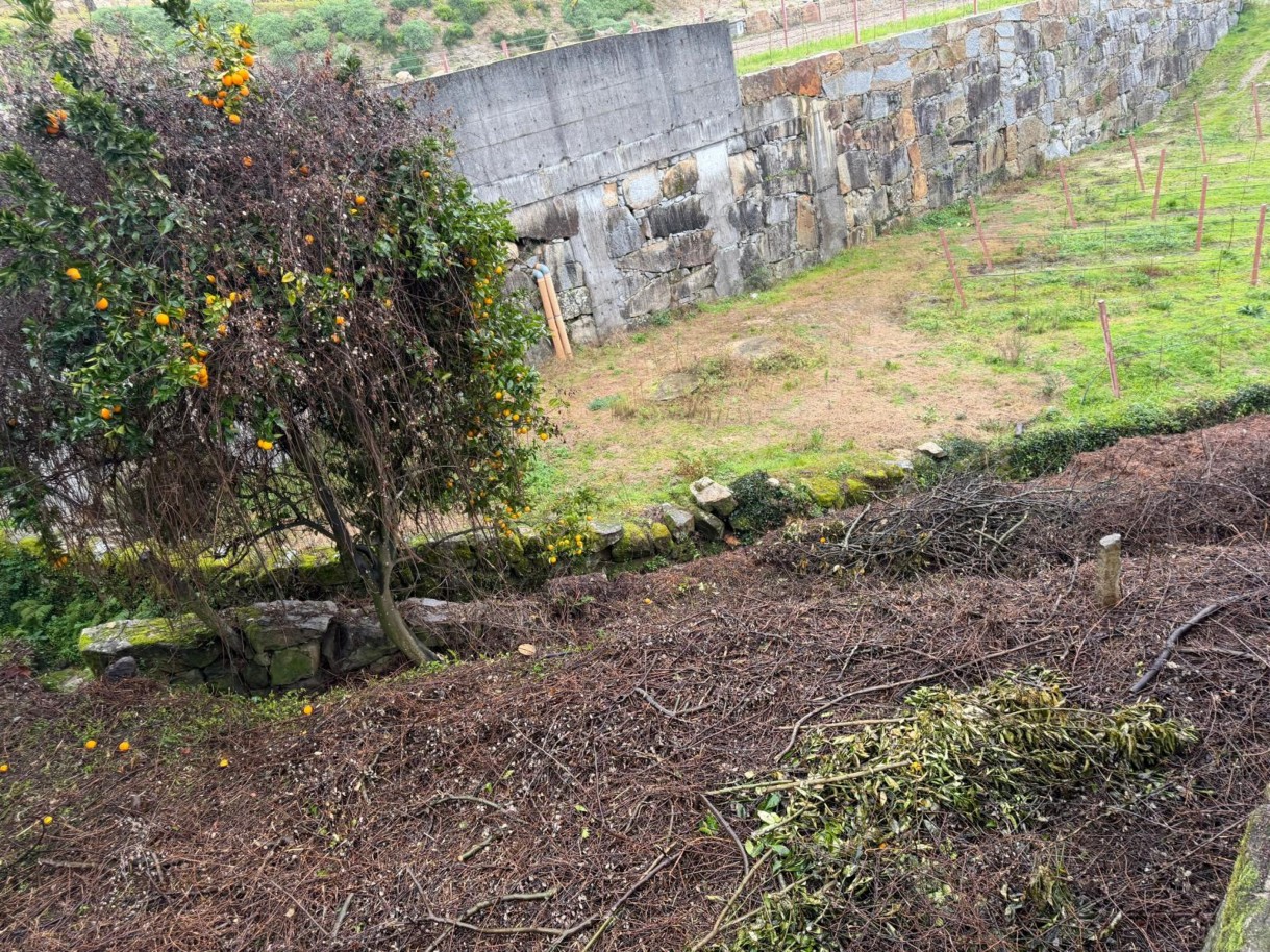 whatsapp-image-2026-01-20-at-163901jpeg