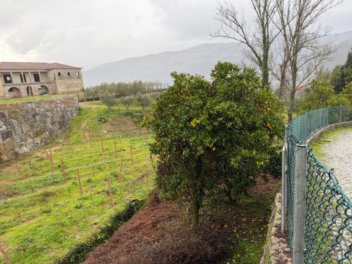 whatsapp-image-2026-01-20-at-1639021jpeg