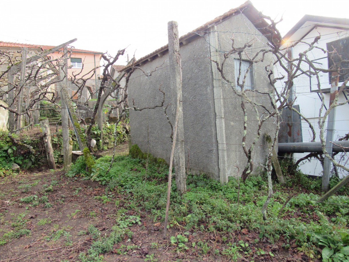 whatsapp-image-2026-01-21-at-163758-1jpeg