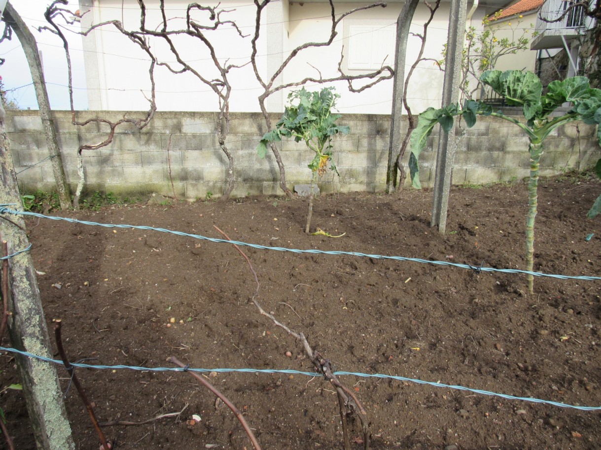 whatsapp-image-2026-01-21-at-163758-2jpeg