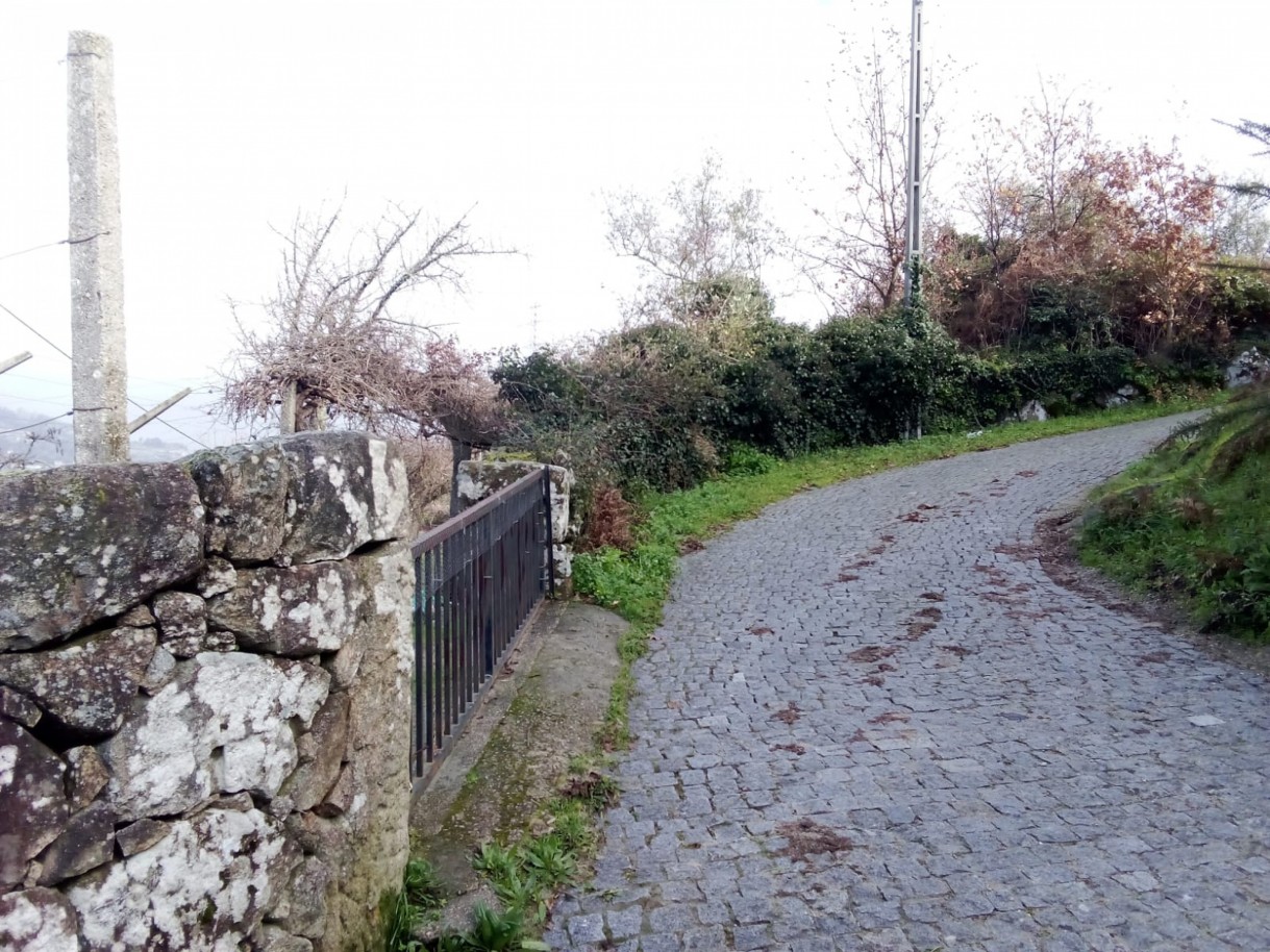 whatsapp-image-2026-01-31-at-105325jpeg