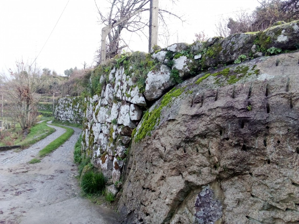 whatsapp-image-2026-01-31-at-105326-1jpeg