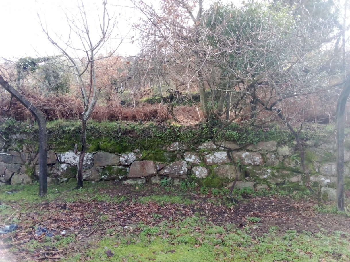 whatsapp-image-2026-01-31-at-105326-2jpeg