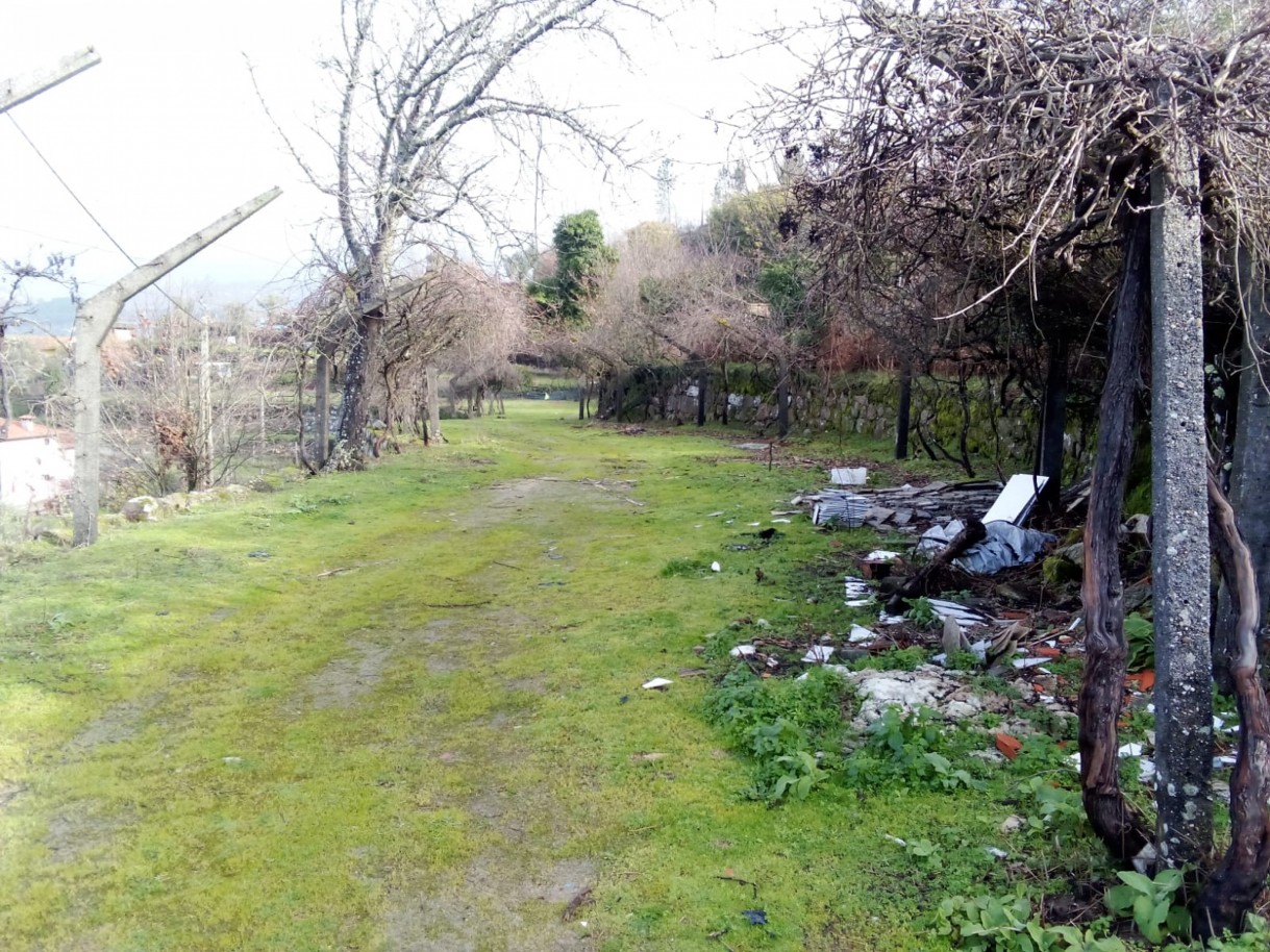 whatsapp-image-2026-01-31-at-105328-1jpeg